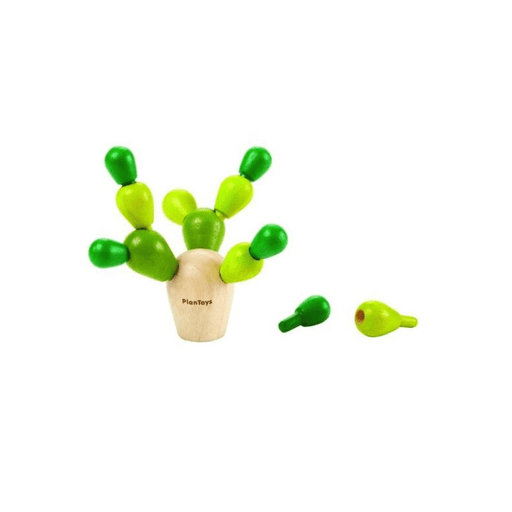 Plantoys - Mini mikado cactus - BIICOU